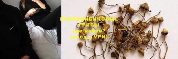 мескалин Аркадак
